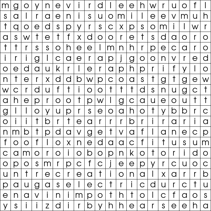 Word Search Grid