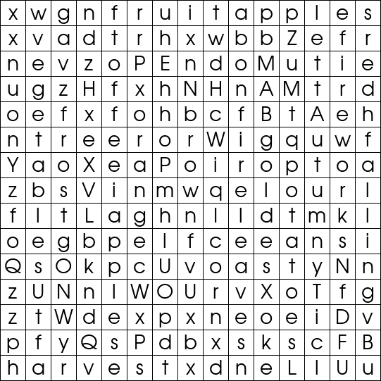 Word Search Grid