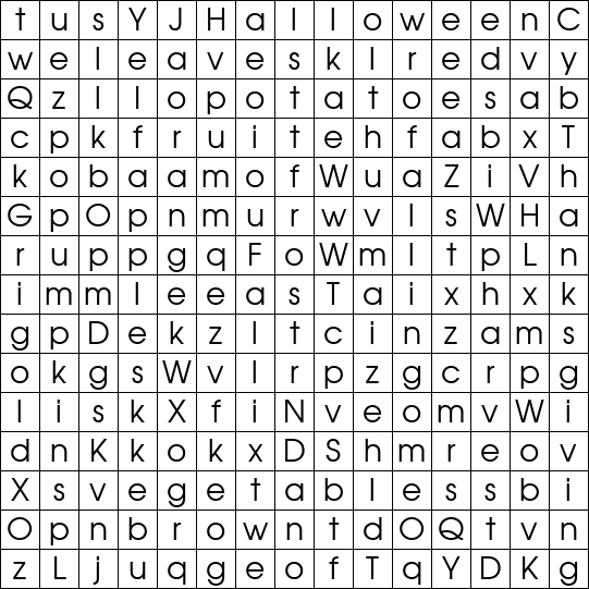 Word Search Grid