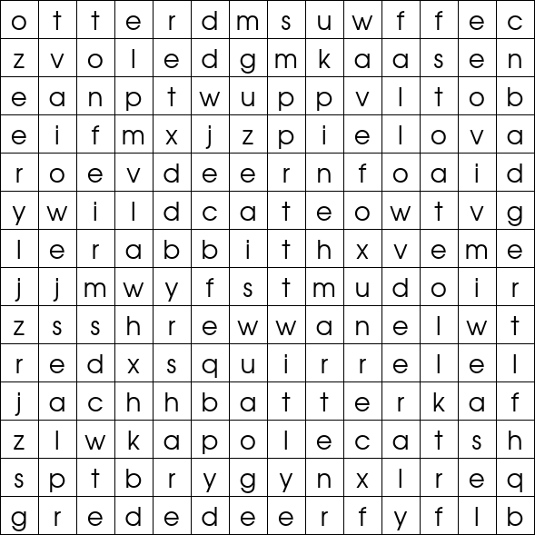 Word Search Grid