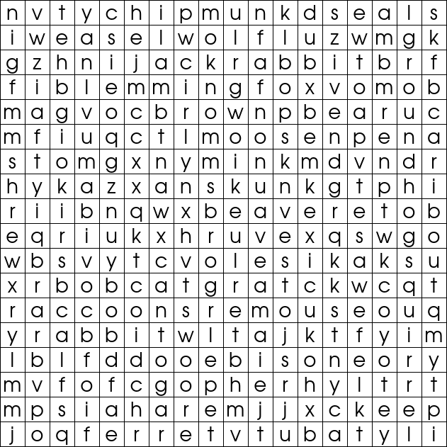 Word Search Grid