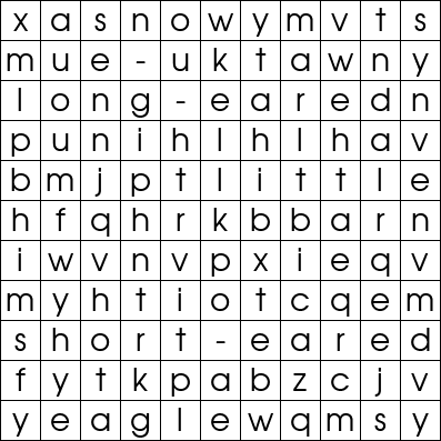 Word Search Grid