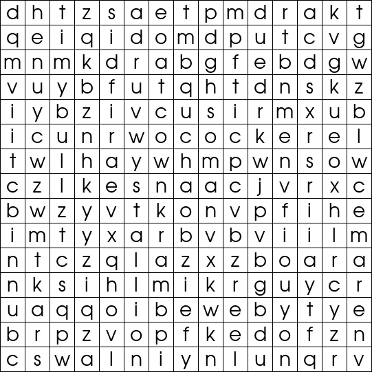 Word Search Grid