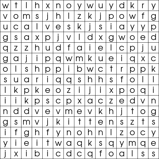 Word Search Grid