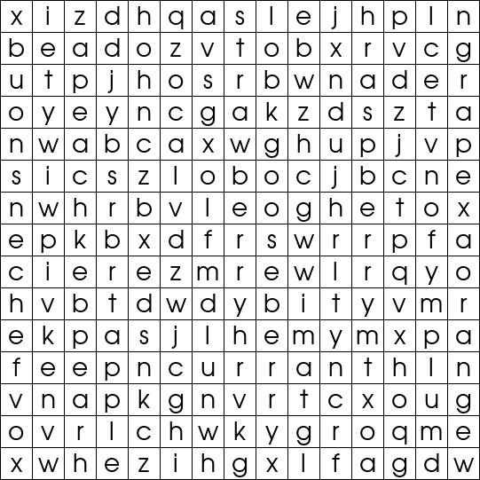 Word Search Grid