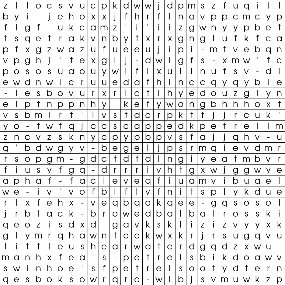 free-word-searches-rare-birds